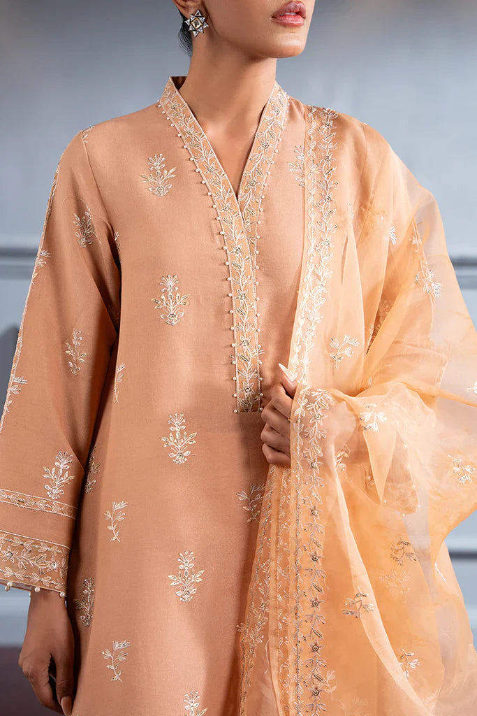 SUBDUED RUST-2 PC (SHIRT & DUPATTA)