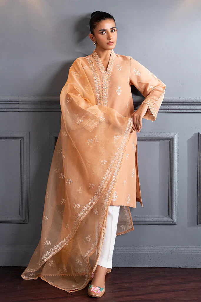 SUBDUED RUST-2 PC (SHIRT & DUPATTA)