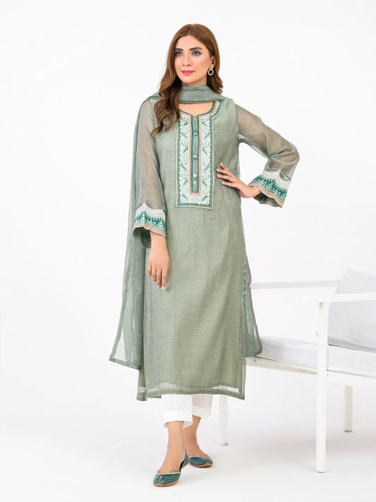 2 Piece Cotton Net Suit-Embroidered(Pret)