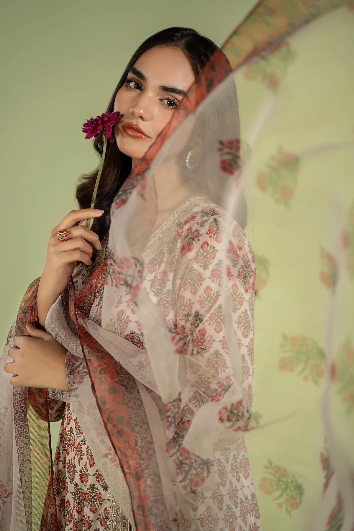 3 Piece Embroidered Lawn Suit | DW-EF24-106